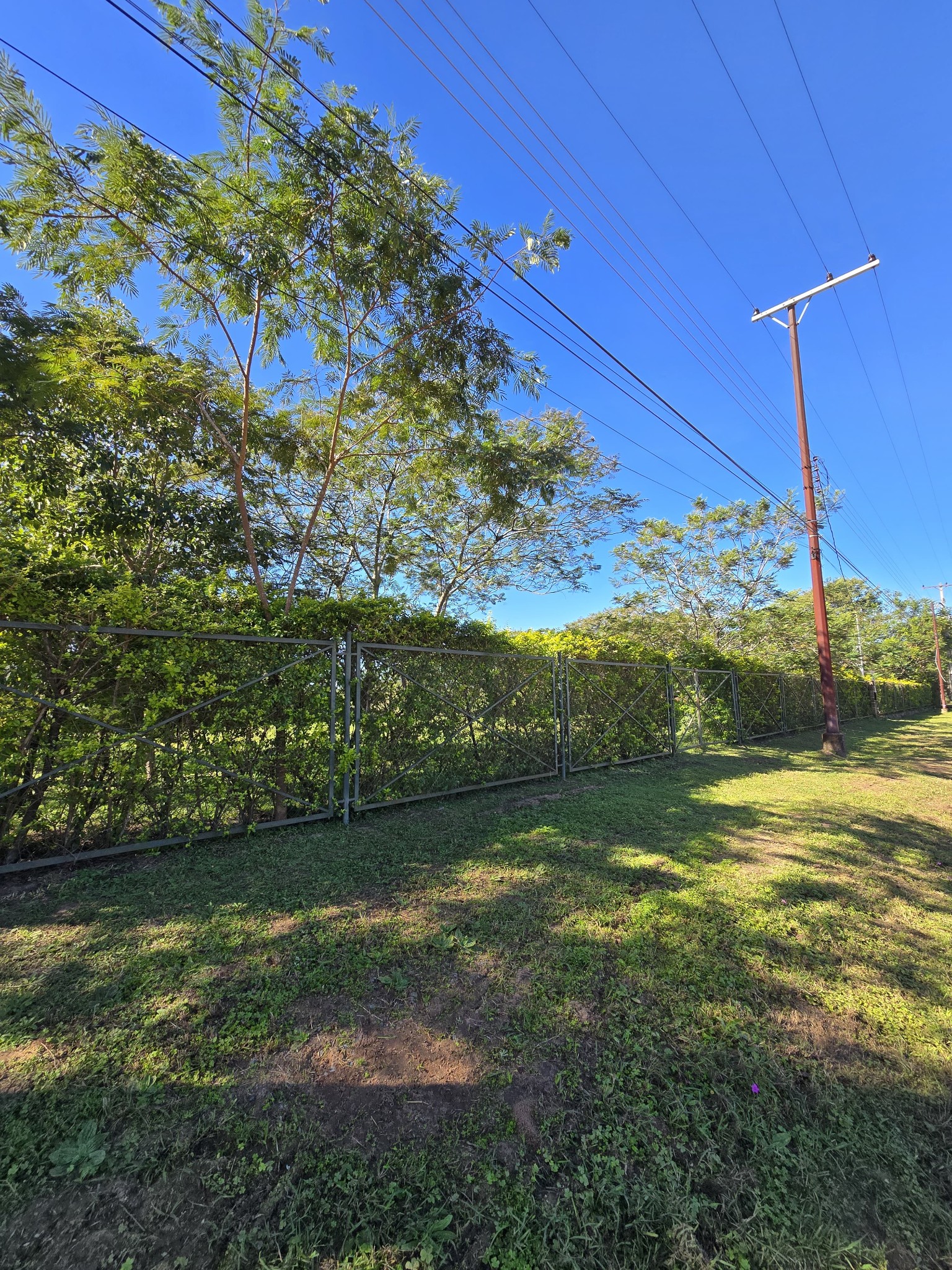 Terreno en venta en Mariano Roque Alonso — foto 3