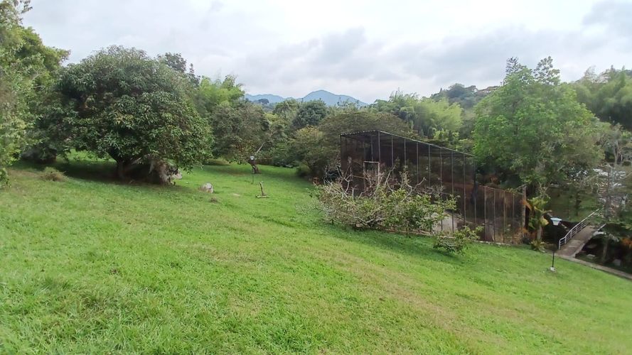 Casa de 6 alcobas en venta en Pance, Cali · foto 23 de 24