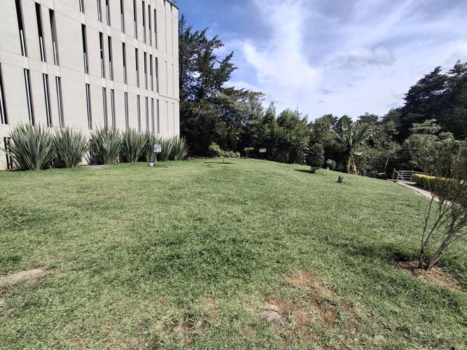 Apartamento de 3 alcobas en arriendo en Llano Grande, Rionegro, 78 m² · foto 19 de 19