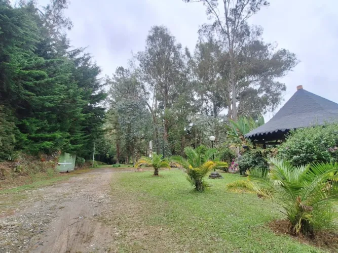 Finca en arriendo en Los Salados, El Retiro, 350 m² · foto 4 de 17