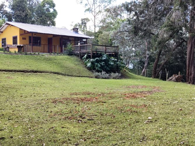 Finca en arriendo en Pantanillo, El Retiro, 5000 m² · foto 5 de 13