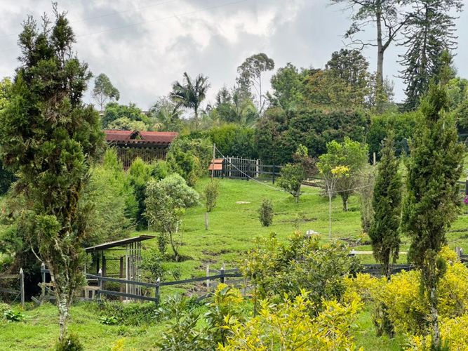 Finca en venta en Guarne, 7076 m² · foto 4 de 24