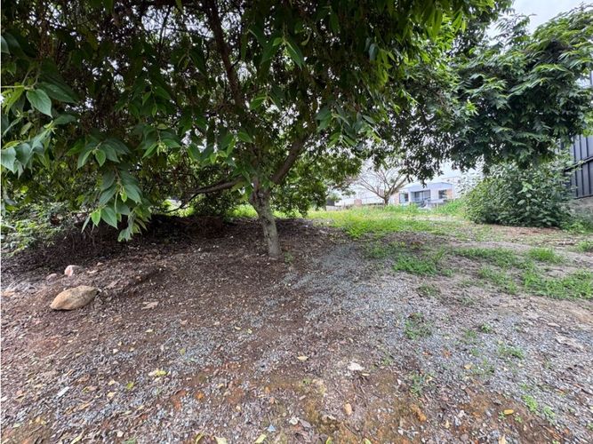 Lote en venta en Pance, Cali, 931 m² · foto 10 de 10