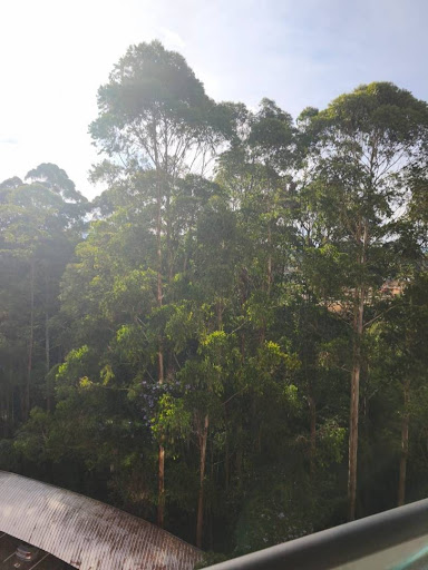 Apartamento en arriendo en Llano Grande, Rionegro · foto 15 de 19