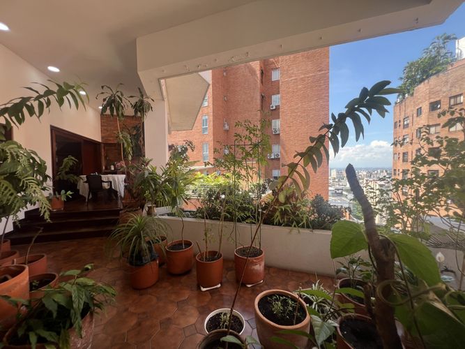 Apartamento de 4 alcobas en venta en Juanambu, Cali, 226 m² · foto 5 de 14