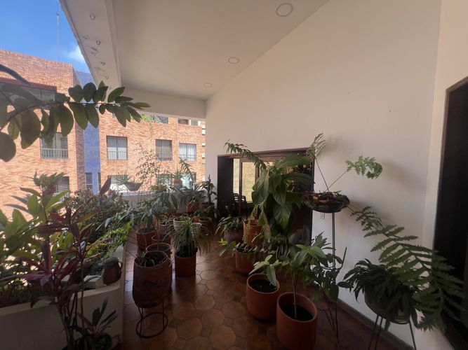 Apartamento de 4 alcobas en venta en Juanambu, Cali, 226 m² · foto 6 de 14