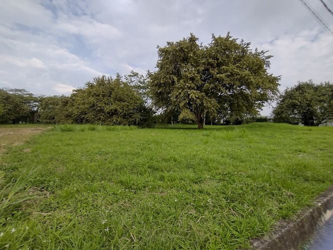 Lote en venta en La Morada, Jamundí, 1500 m² · foto 2 de 9