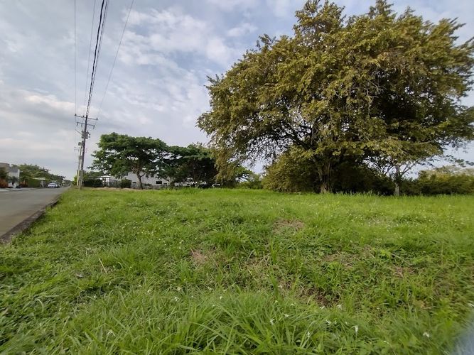 Lote en venta en La Morada, Jamundí, 1500 m² · foto 3 de 9