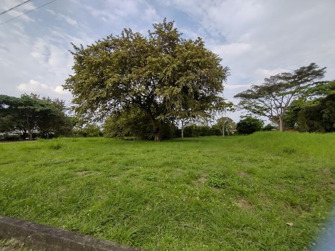 Lote en venta en La Morada, Jamundí, 1500 m² · foto 4 de 9