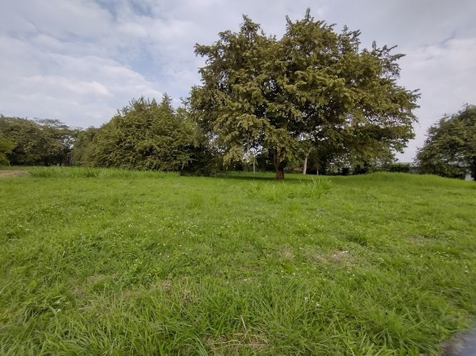 Lote en venta en La Morada, Jamundí, 1500 m² · foto 5 de 9
