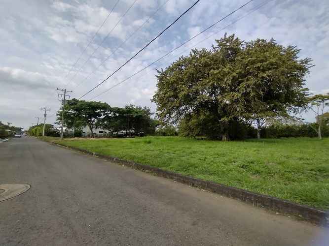 Lote en venta en La Morada, Jamundí, 1500 m² · foto 7 de 9