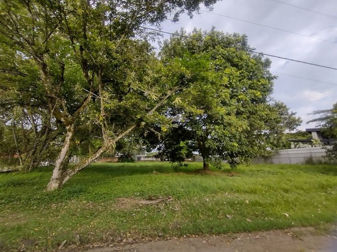 Lote en venta en La Morada, Jamundí, 1682 m² · foto 3 de 13