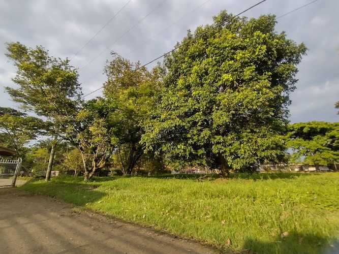 Lote en venta en La Morada, Jamundí, 1682 m² · foto 4 de 13