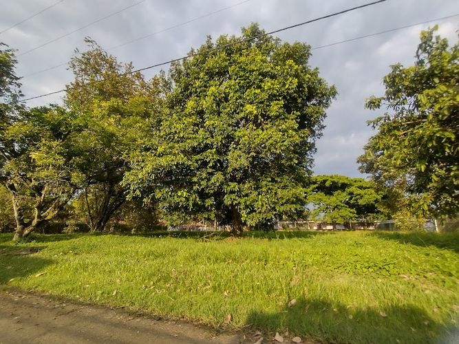 Lote en venta en La Morada, Jamundí, 1682 m² · foto 5 de 13