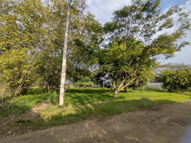 Lote en venta en La Morada, Jamundí, 1682 m² · foto 7 de 13