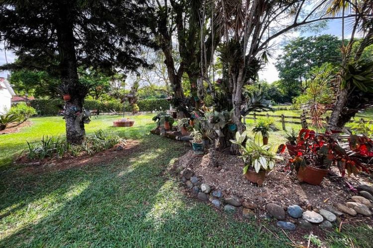 Casa de 6 alcobas en venta en Libertadores, Jamundí, 683 m² · foto 22 de 22