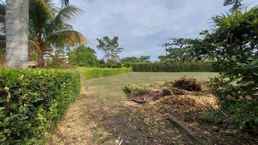 Lote en venta en Las Mercedes, Jamundí, 1510 m² · foto 7 de 10