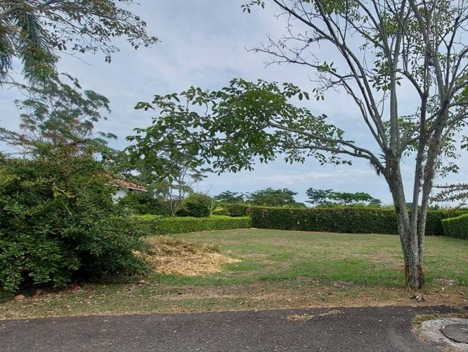 Lote en venta en Las Mercedes, Jamundí, 1510 m² · foto 10 de 10