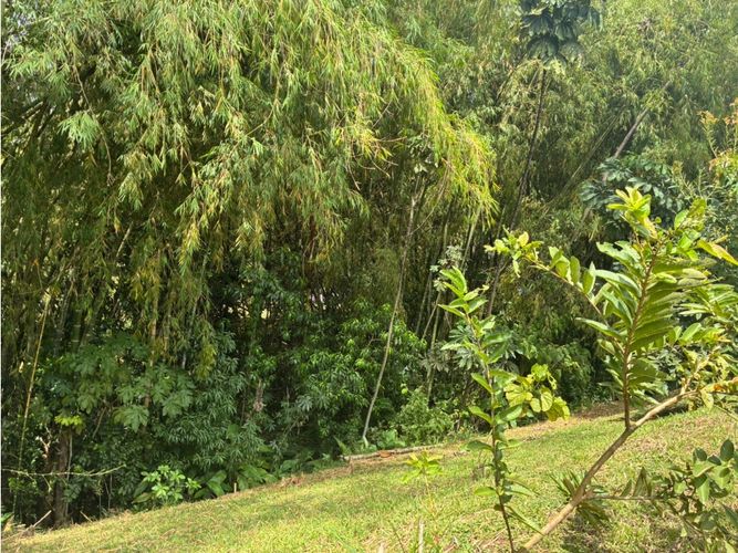 Lote en venta en Cerritos, Pereira, 1710 m² · foto 3 de 8