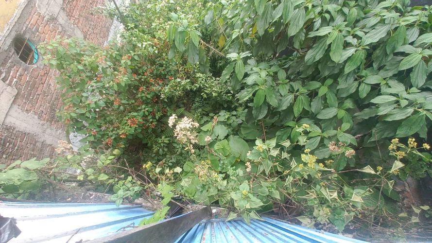 Lote en venta en Fundadores, Armenia, 176 m² · foto 3 de 12