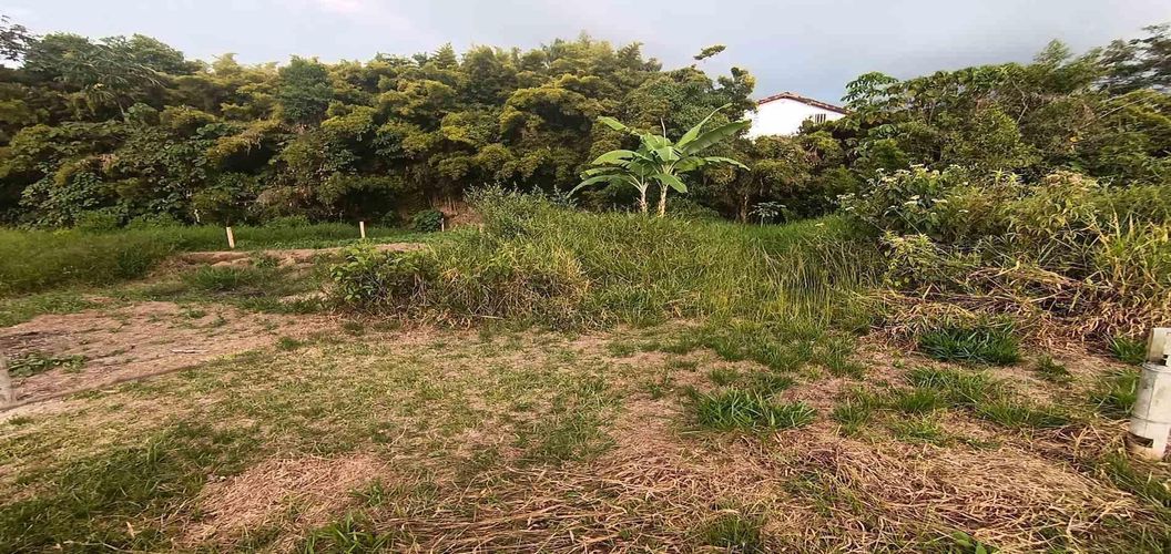 Lote en venta en Sector Parque Valencia, Armenia · foto 4 de 23
