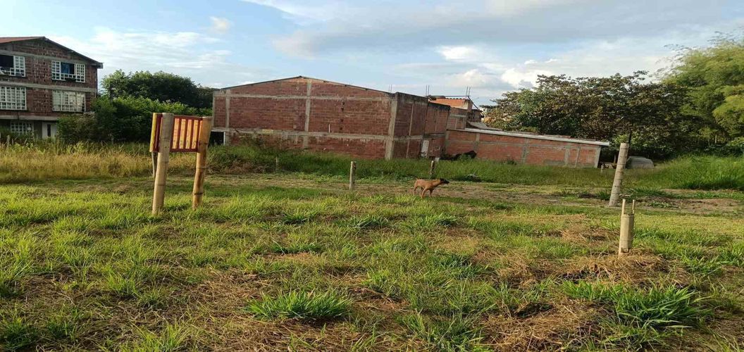 Lote en venta en Sector Parque Valencia, Armenia · foto 10 de 23