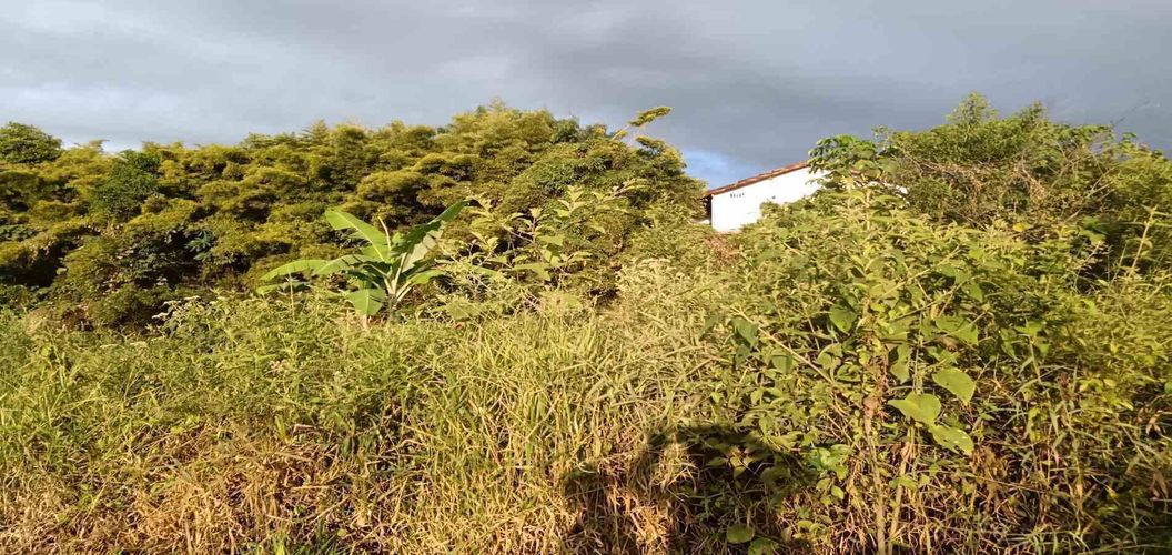 Lote en venta en Sector Parque Valencia, Armenia · foto 13 de 23