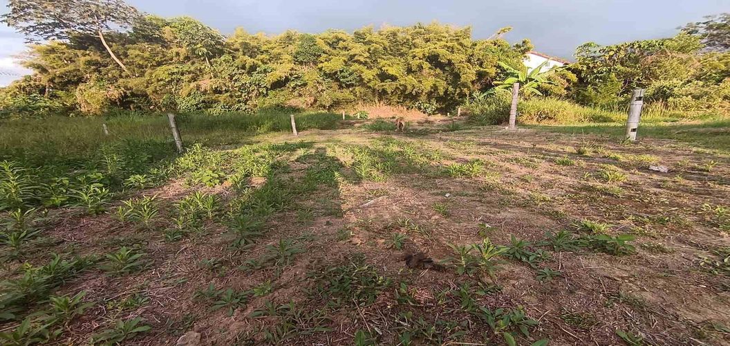 Lote en venta en Sector Parque Valencia, Armenia · foto 18 de 23