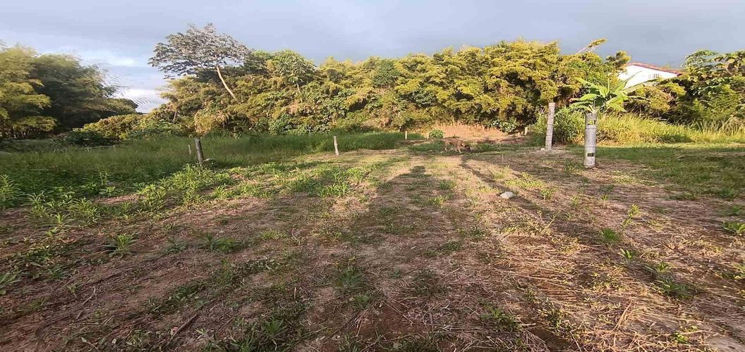 Lote en venta en Sector Parque Valencia, Armenia · foto 19 de 23
