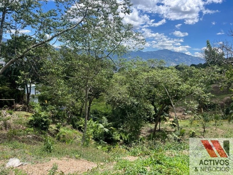 Image 3 du bien annoncé à Medellín