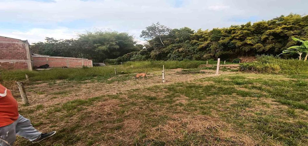 Lote en venta en Sector Parque Valencia, Armenia, 54 m² · foto 2 de 24