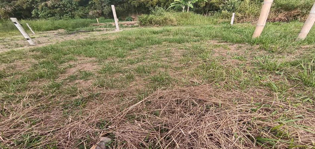 Lote en venta en Sector Parque Valencia, Armenia, 54 m² · foto 3 de 24