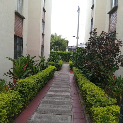 Apartamento de 3 alcobas en venta en Torres De Confandi, Cali, 52 m² · foto 5 de 11