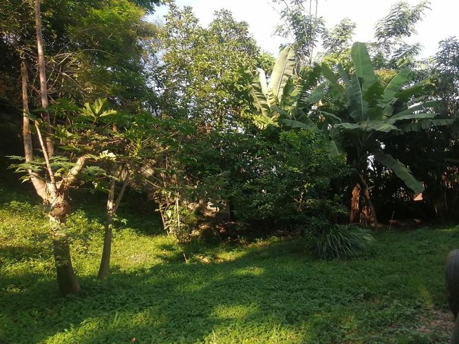 Casa de 4 alcobas en venta en Menga, Cali, 429 m² · foto 3 de 23