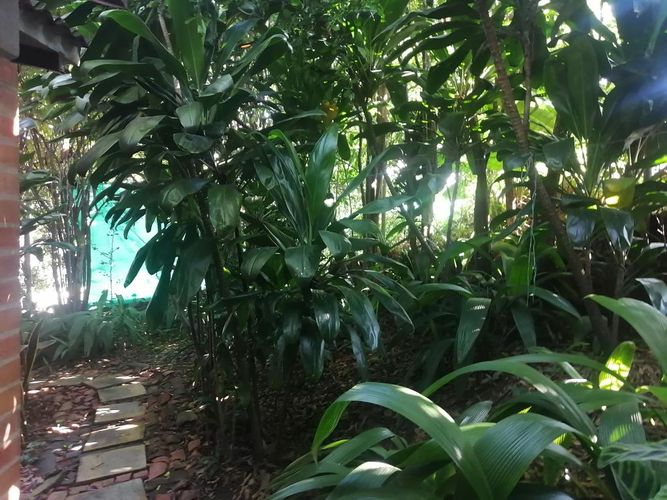 Casa de 4 alcobas en venta en Menga, Cali, 429 m² · foto 19 de 23