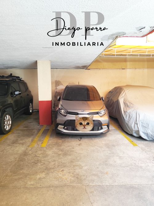 Apartamento de 1 alcoba en venta en El Carmen, Ibagué, 33 m² · foto 12 de 12