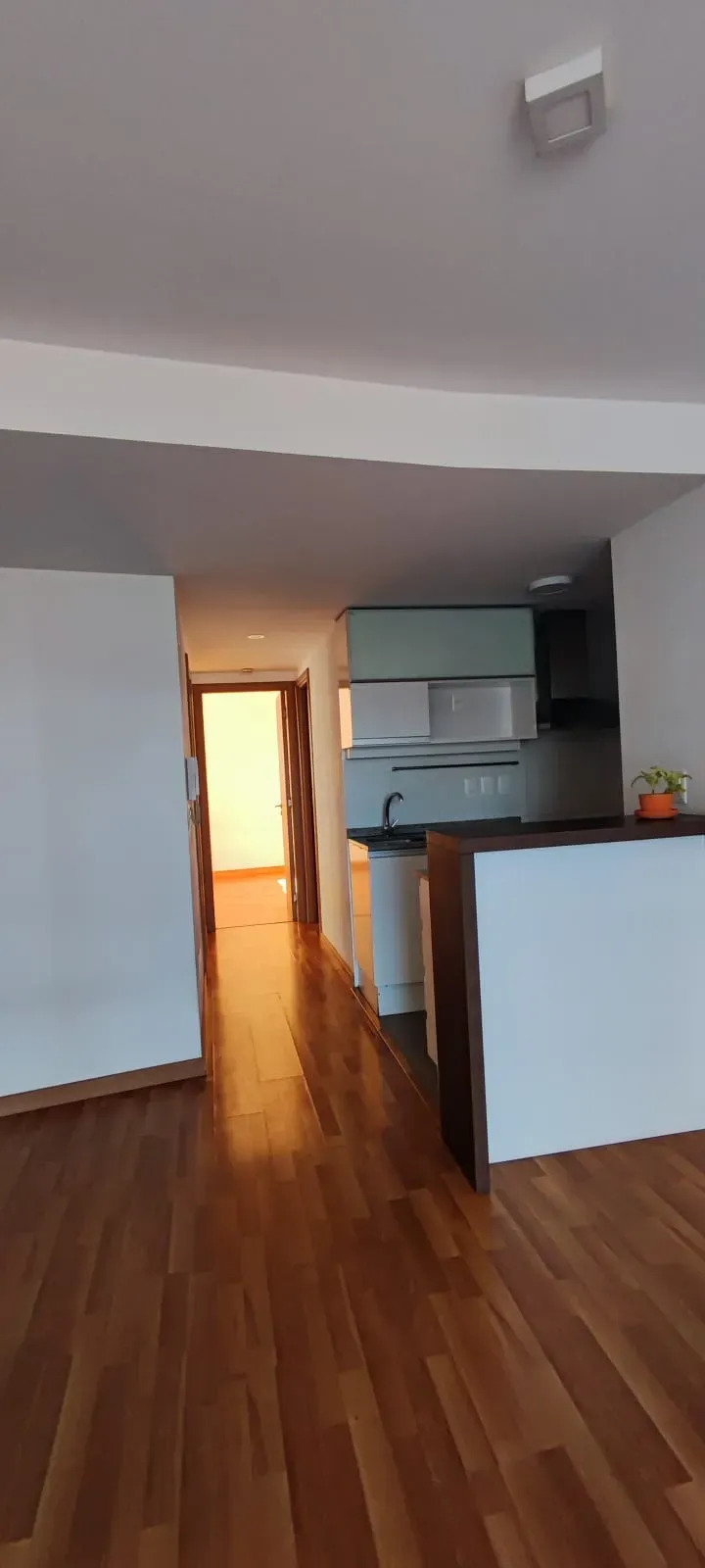 Alquiler Apartamento Dos Dormitorios En Cordón · Foto 1