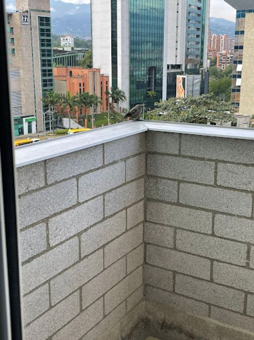 Apartamento de 1 alcoba en arriendo en Patio Bonito, Medellín, 55 m² · foto 4 de 12