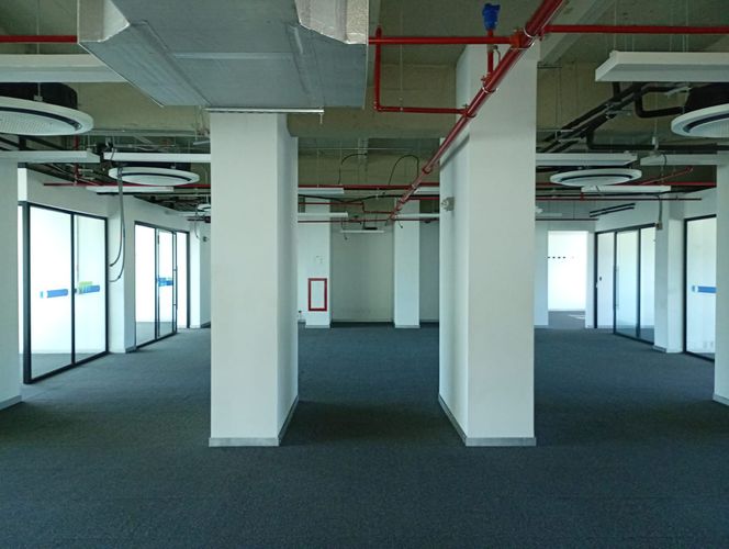 Oficina en arriendo en Paso Ancho, Sabaneta, 706 m² · foto 13 de 18