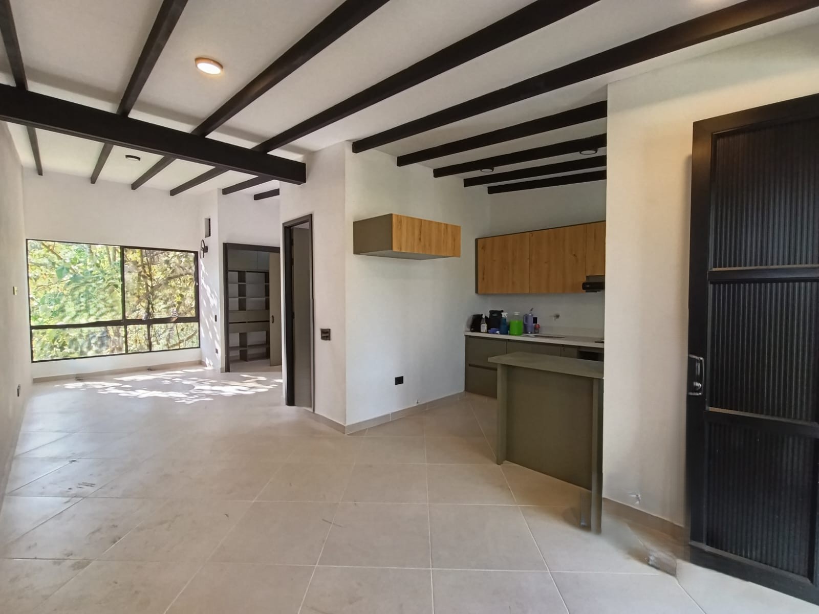 1BR Apartment in San antonio (50 m²) - 3