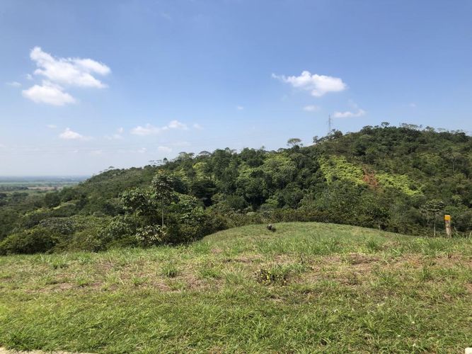 Lote en venta en Pance, Cali, 9000 m² · foto 4 de 9
