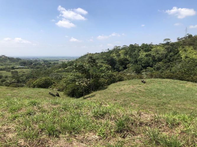 Lote en venta en Pance, Cali, 9000 m² · foto 5 de 9
