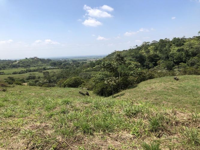 Lote en venta en Pance, Cali, 9000 m² · foto 7 de 9