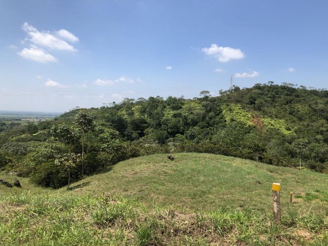Lote en venta en Pance, Cali, 9000 m² · foto 8 de 9