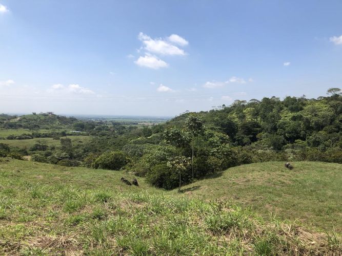 Lote en venta en Pance, Cali, 9000 m² · foto 9 de 9