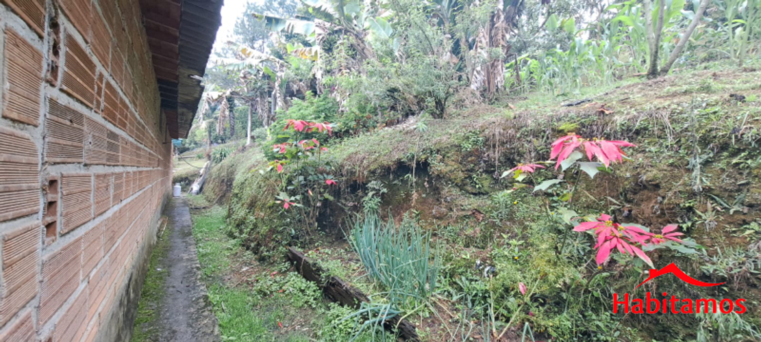 Finca en venta en El Zango, Guarne, 7268 m² · foto 19 de 24
