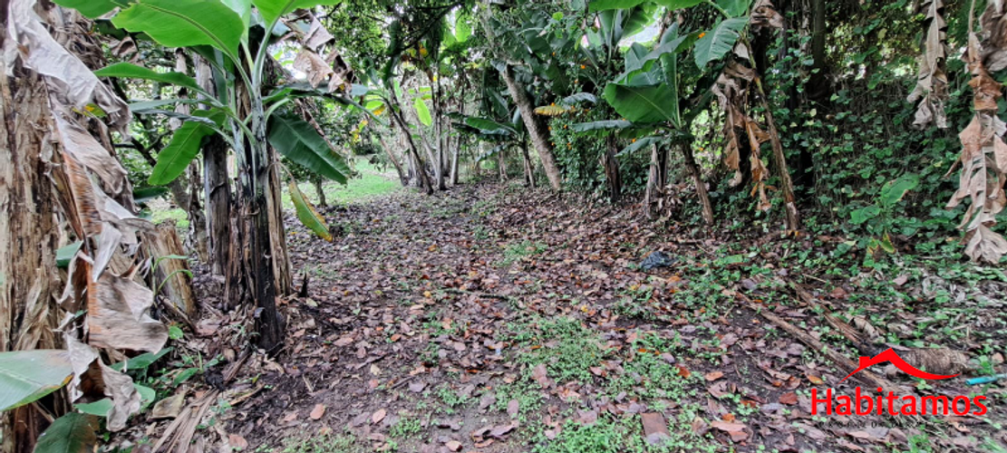 Finca en venta en El Zango, Guarne, 7268 m² · foto 20 de 24