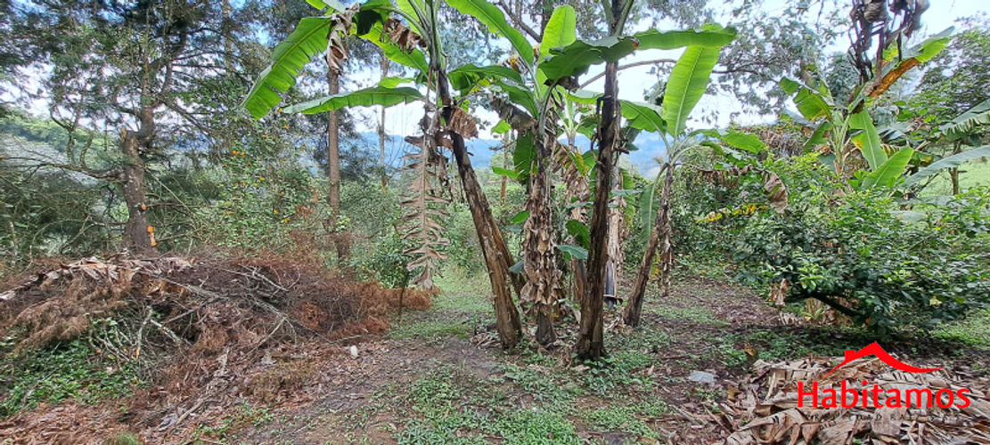 Finca en venta en El Zango, Guarne, 7268 m² · foto 21 de 24