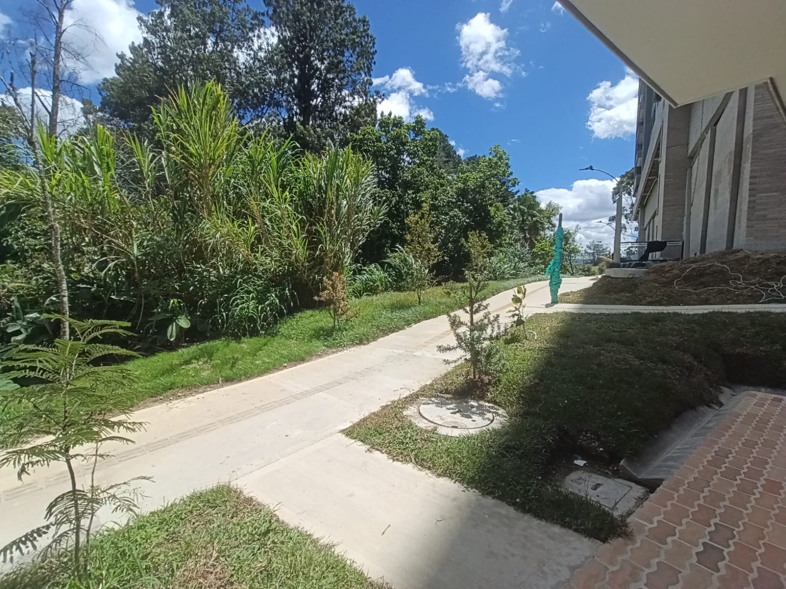 Apartamento en arriendo en Rionegro · foto 5 de 15