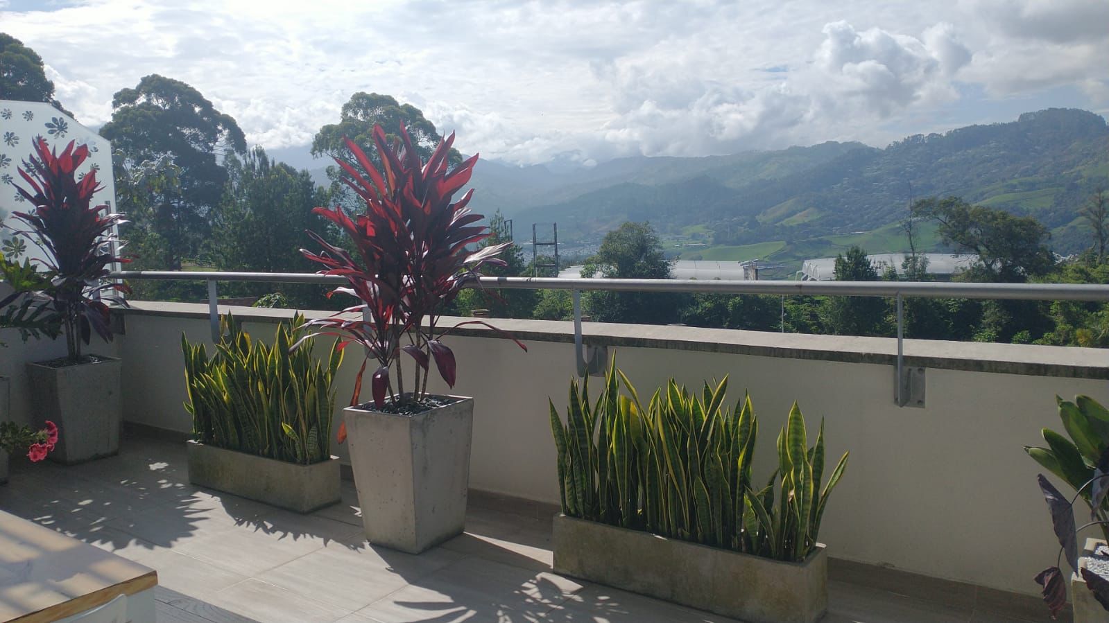 Apartamento en venta en Palermo, Manizales · foto 7 de 12